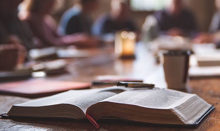 Bible Study