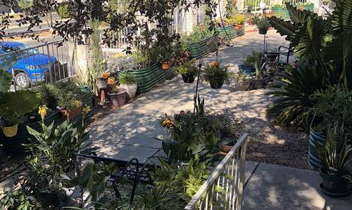 Garden Club
